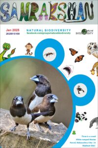 Sanrakshan Jan 2025