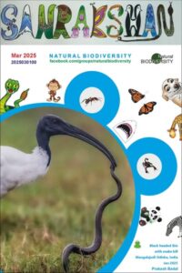 Sanrakshan Mar 2025